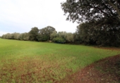 Parcela urbanizable en venta en la diseminado, Felanitx, ref: TR68534 foto