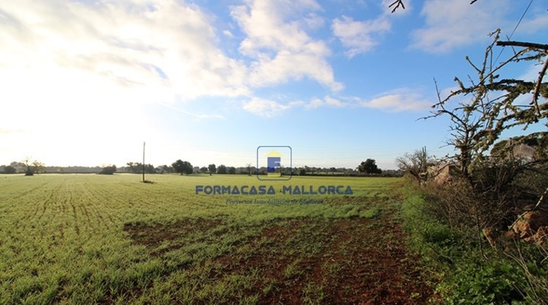 Islas Baleares - Lluchmayor - 18300m2