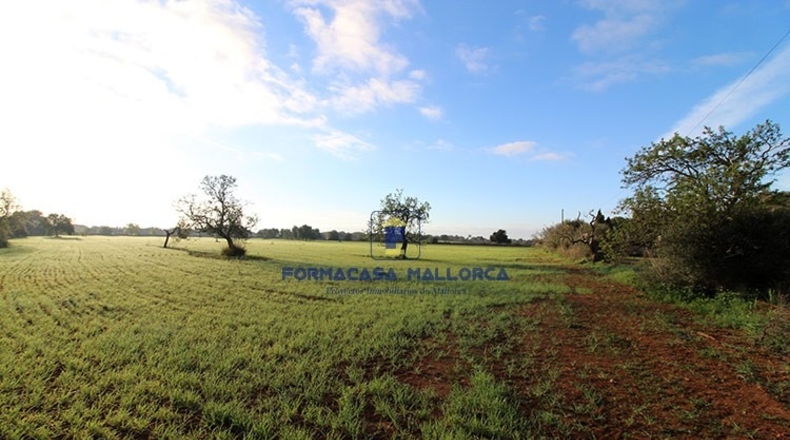 Islas Baleares - Lluchmayor - 18300m2