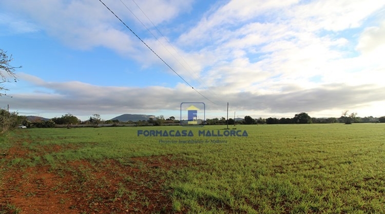 Islas Baleares - Lluchmayor - 18300m2