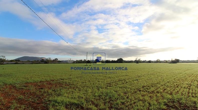 Islas Baleares - Lluchmayor - 18300m2