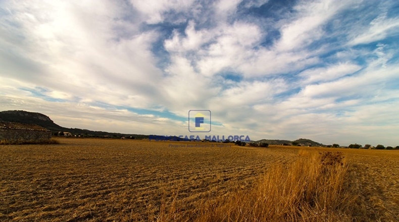 Islas Baleares - Sineu - 18000m2