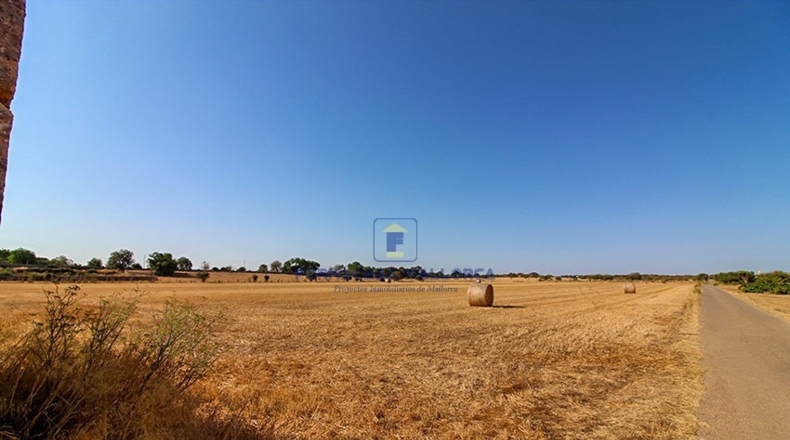 Islas Baleares - Porreras - 17000m2
