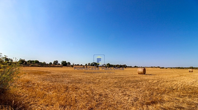 Islas Baleares - Porreras - 17000m2