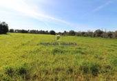 Parcela urbanizable en venta en la Diseminado, Campos, ref: TR68663 foto