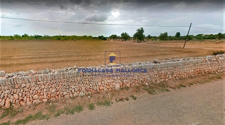 Islas Baleares - Algaida - 14571m2