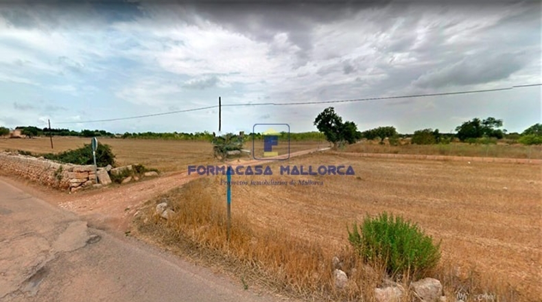 Islas Baleares - Algaida - 14571m2