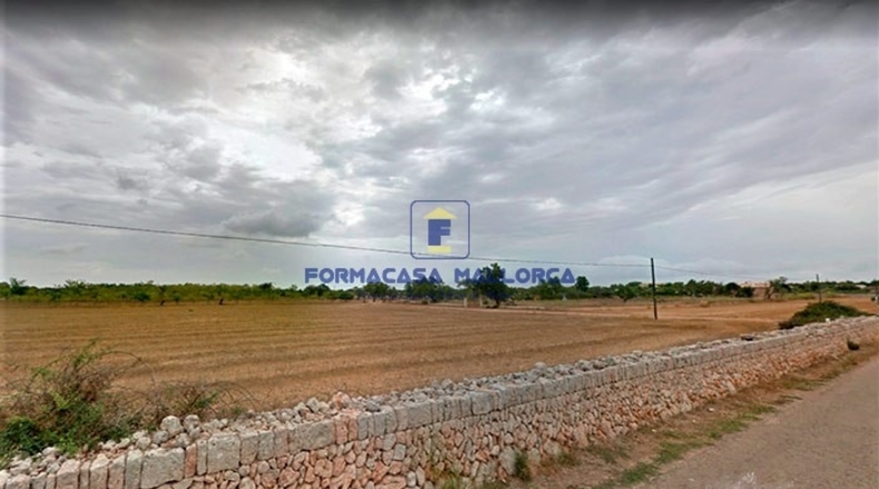 Islas Baleares - Algaida - 14571m2