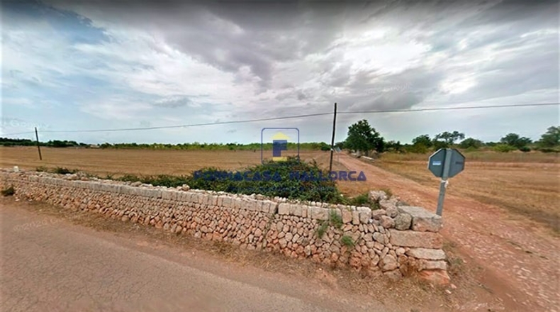 Islas Baleares - Algaida - 14571m2