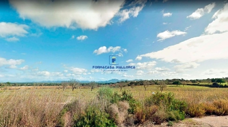 Islas Baleares - Campos - 32000m2