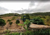 Parcela urbanizable en venta en la Diseminado, Costitx, ref: TR68660 foto