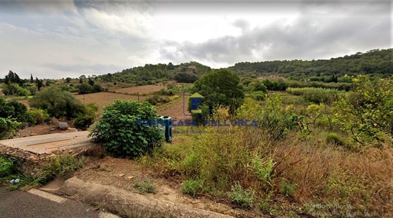 Islas Baleares - Costitx - 14700m2