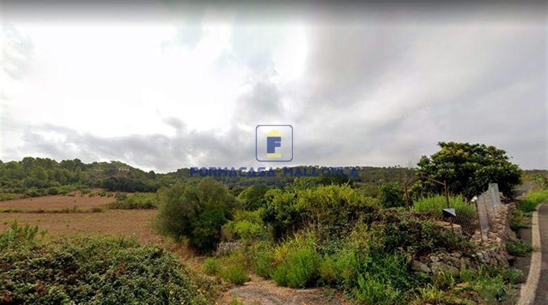 Islas Baleares - Costitx - 14700m2