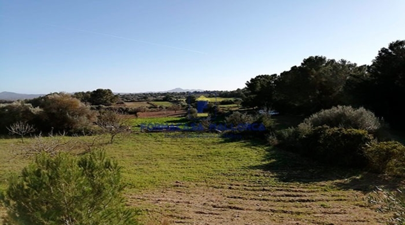 Islas Baleares - Petra - 14214m2