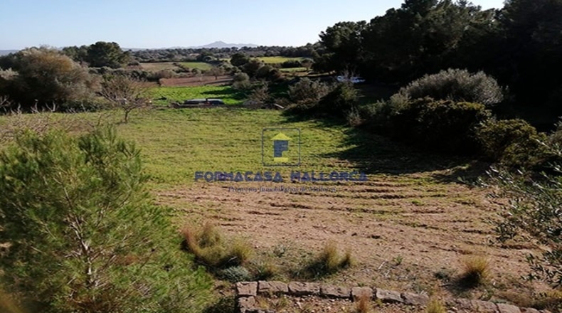 Islas Baleares - Petra - 14214m2