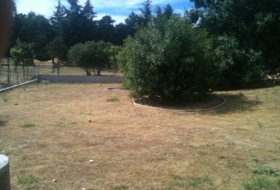 Madrid 888&nbsp;m² 
