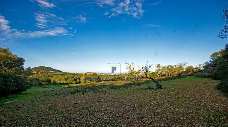 Islas Baleares - Felanitx - 180000m2