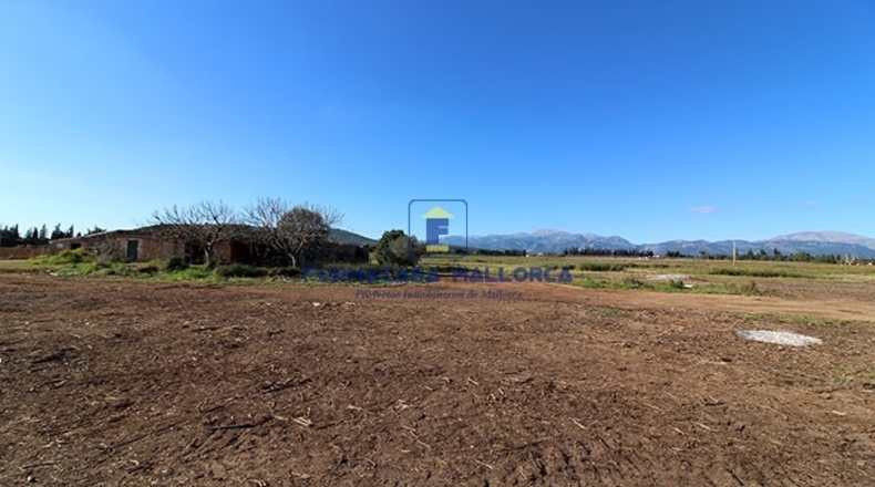 Islas Baleares - Llubí - 22050m2