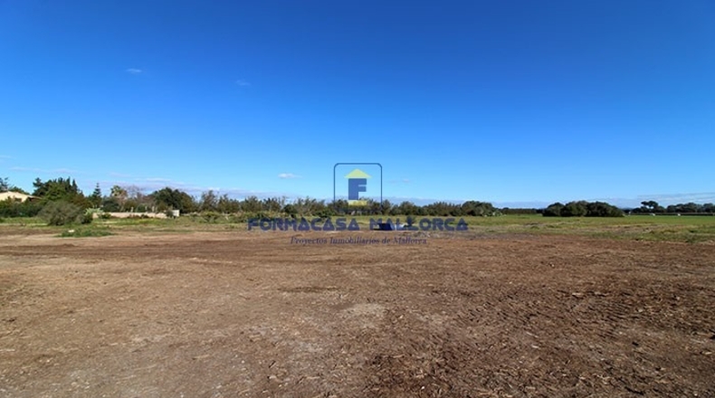 Islas Baleares - Llubí - 22050m2