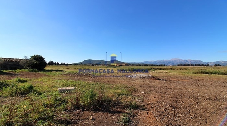 Islas Baleares - Llubí - 22050m2