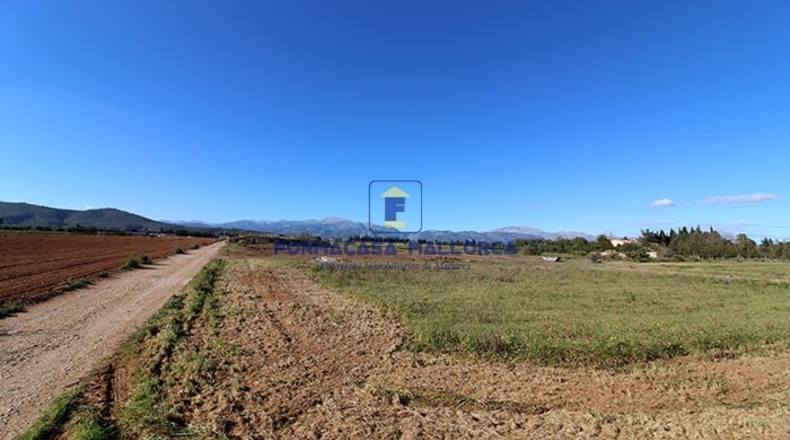 Islas Baleares - Llubí - 22050m2