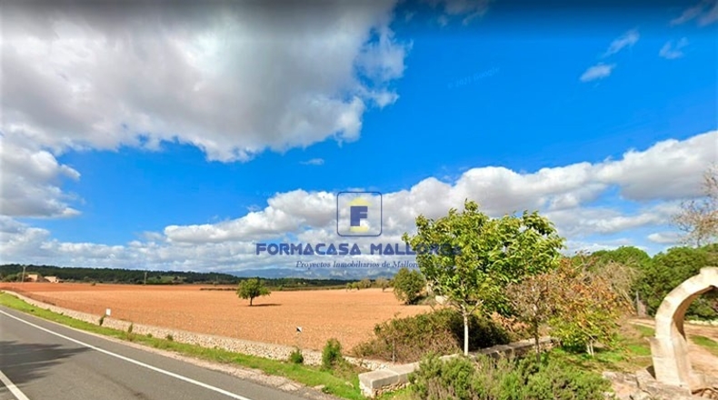 Islas Baleares - Sencelles - 31900m2