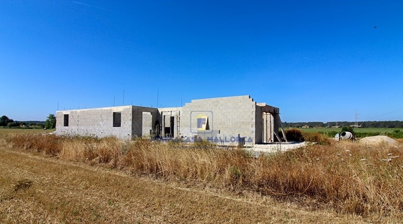 Islas Baleares - Sencelles - 31000m2
