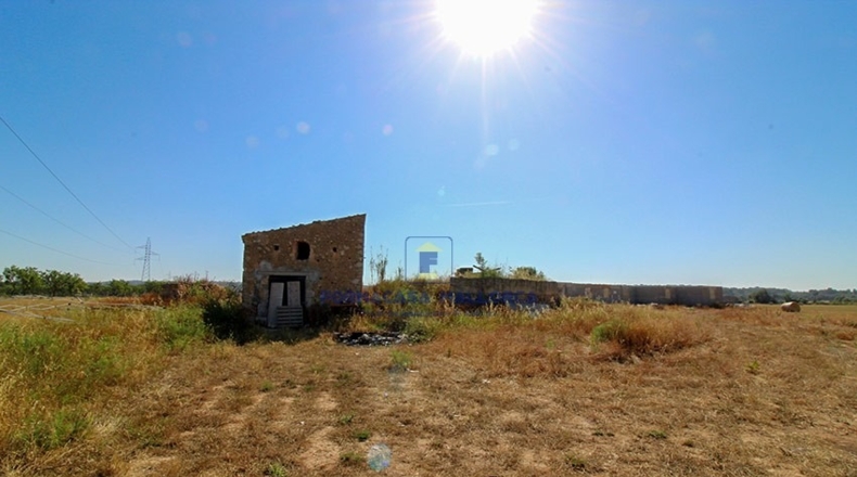 Islas Baleares - Sencelles - 31000m2