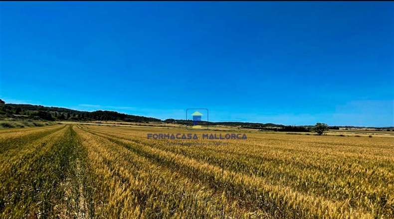 Islas Baleares - San Juan - 14210m2