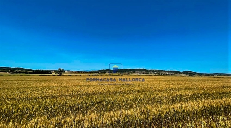 Islas Baleares - San Juan - 14210m2