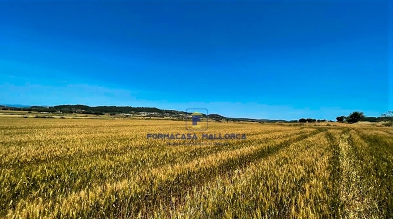 Islas Baleares - San Juan - 14210m2