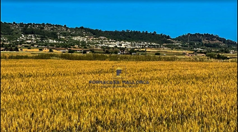 Islas Baleares - San Juan - 14210m2
