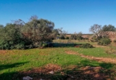Parcela urbanizable en venta en la Diseminado, Santanyí, ref: TR68682 foto