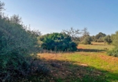 Parcela urbanizable en venta en la Diseminado, Santanyí, ref: TR68682 foto