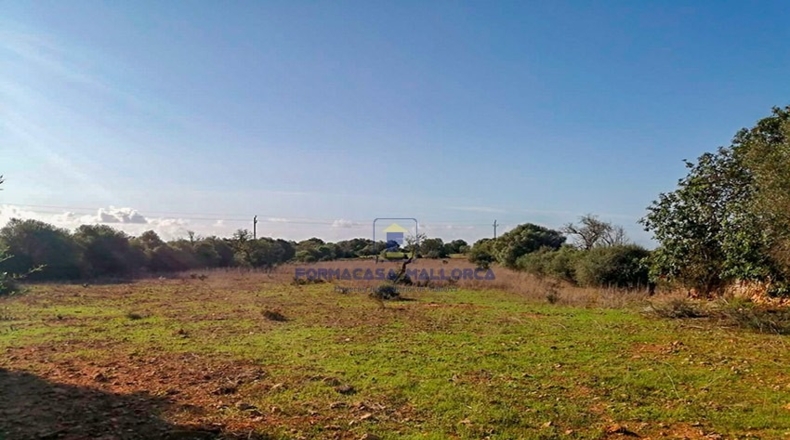 Islas Baleares - Santañy - 14540m2