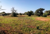Parcela urbanizable en venta en la Diseminado, Santanyí, ref: TR68682 foto