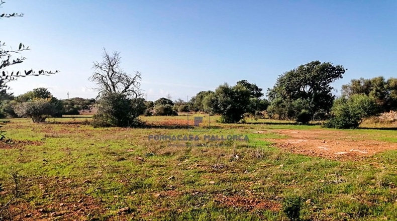 Islas Baleares - Santañy - 14540m2