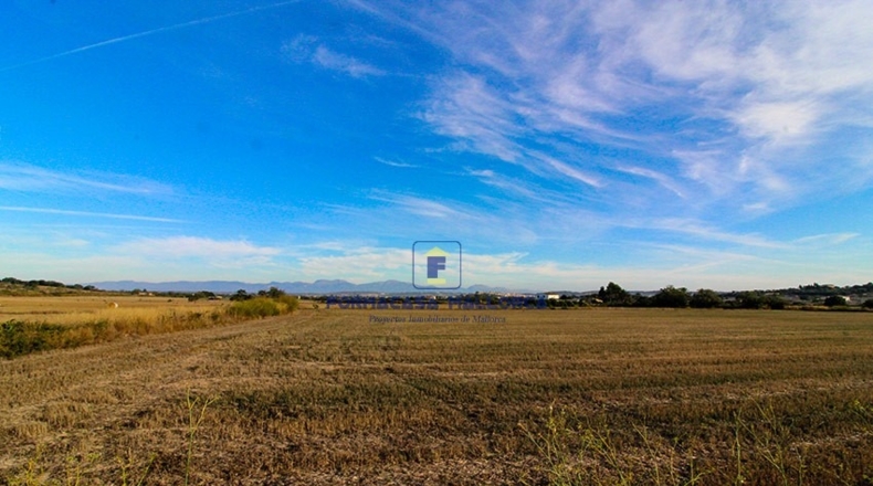 Islas Baleares - Montuïri - 19215m2