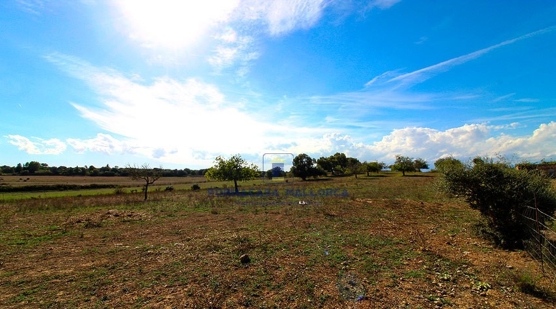 Islas Baleares - San Juan - 21740m2