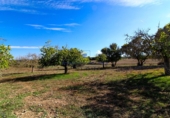 Land suitable for development for sale on Diseminado, Sant Joan, ref: TR68680 photo
