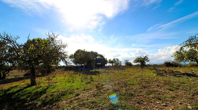 Islas Baleares - San Juan - 21740m2