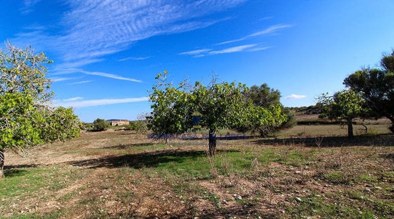Islas Baleares - San Juan - 21740m2