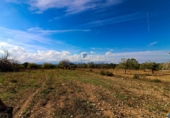 Land suitable for development for sale on Diseminado, Sant Joan, ref: TR68680 photo