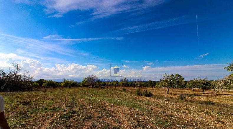 Islas Baleares - San Juan - 21740m2