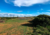 Land suitable for development for sale on Diseminado, Ses Salines, ref: TR68677 photo