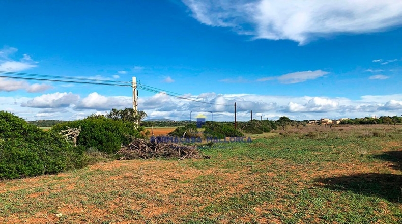 Islas Baleares - Las Salinas - 16000m2