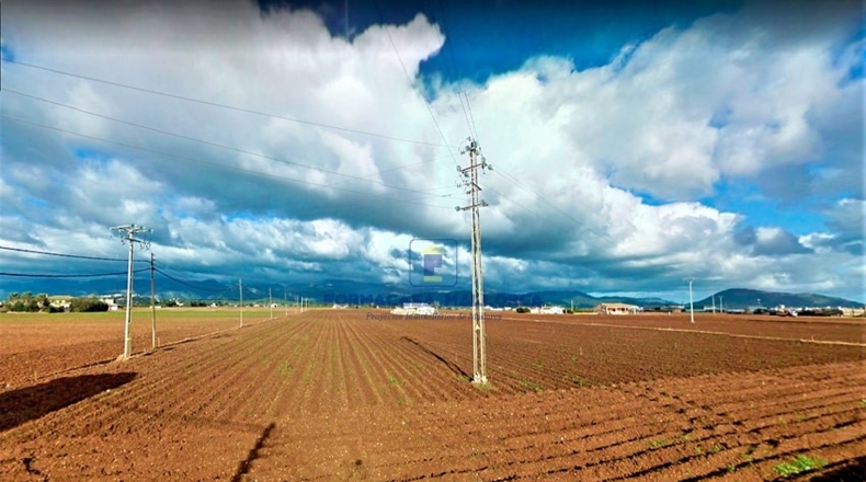 Islas Baleares - La Puebla - 26630m2