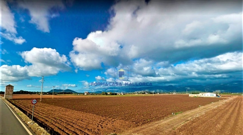 Islas Baleares - La Puebla - 26630m2