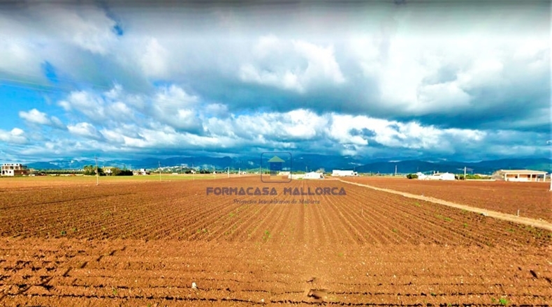 Islas Baleares - La Puebla - 26630m2