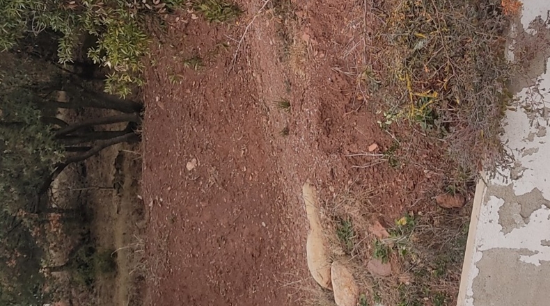 Barcelona - Caldes de Montbui - 604m2